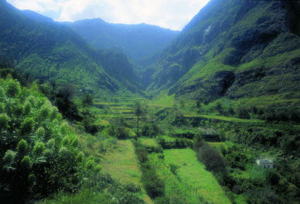 Valle de Agaete