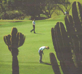 Golf Gran Canaria - Canary Islands