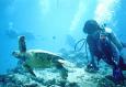 Diving, buceo en Gran Canaria