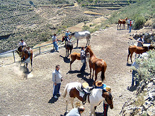 Feria Caballos Gran Canaria