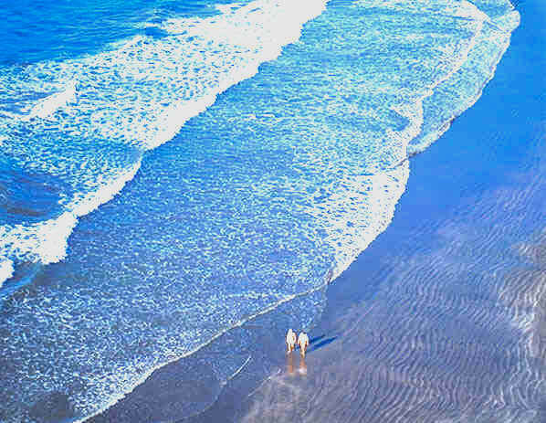 Playas Islas Canarias