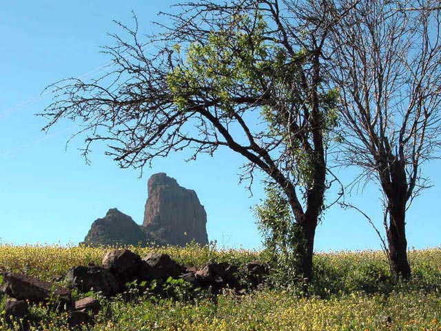 Peñascos Gran Canaria