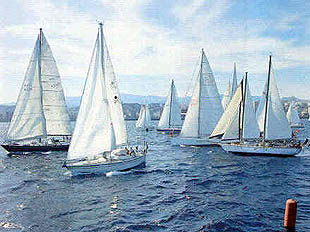 Regatas Gran Canaria, regata ARC
