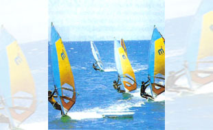 Wind Gran Canaria