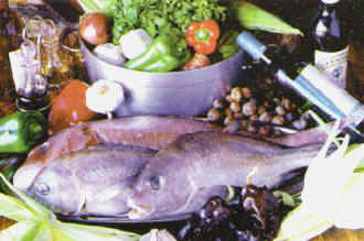 Fishes Gran Canaria, Canary