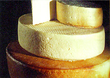 Cheese Gran Canaria, Canary